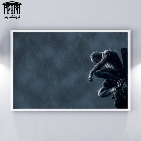 تابلو شاسی Spider Man 1